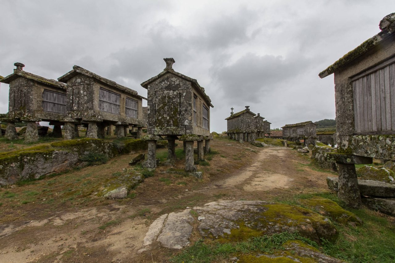 Stone granaries raised on pillars in a village under a heavy sky