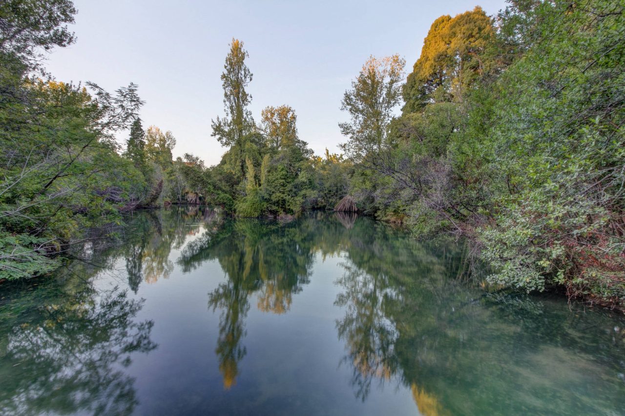 Trees and rock mirrored in the glassy surface of a narrow river