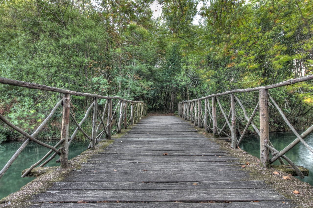 A wooden suspension footbridge leading into dense green woodland