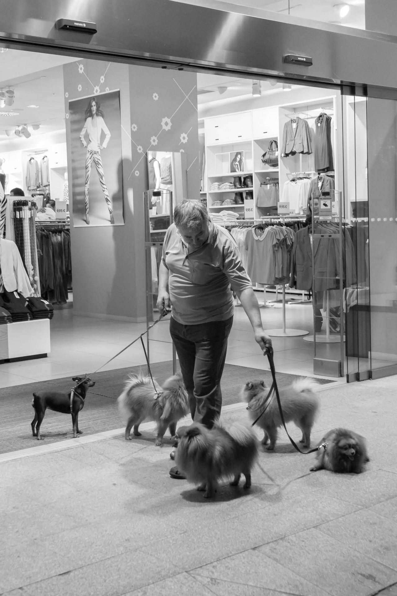 Black and white photograph of a woman walking small dogs past a lit shop window